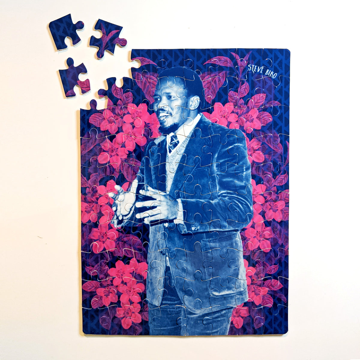 Steve Biko - Revolutionary Trailblazers